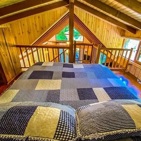 Orman Icinde Mavi Ladin Agac Ev Chalet Sapanca